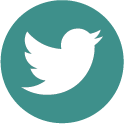 A small, round sea-green button with a white bird in the Twitter style.